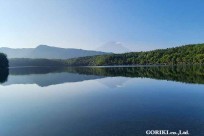 樹海モーニングツアー