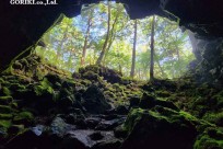 樹海モーニングツアー