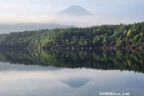 樹海モーニングツアー