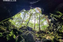 星のや富士様　樹海溶岩ハイキング