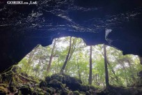 樹海モーニングツアー