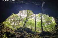 樹海モーニングツアー