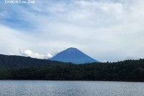 星のや富士様　樹海溶岩ハイキング