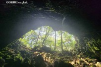 樹海モーニングツアー