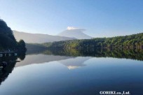 樹海モーニングツアー