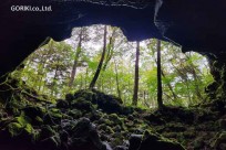 星のや富士様　樹海溶岩ハイキング