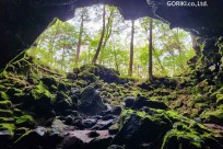 星のや富士様　樹海溶岩ハイキング