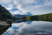 樹海モーニングツアー