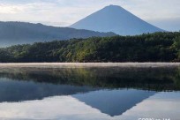 樹海モーニングツアー