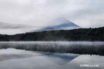 樹海モーニングツアー