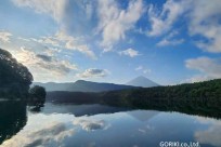 樹海モーニングツアー