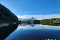 樹海モーニングツアー