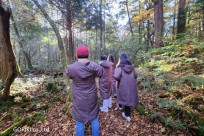 樹海モーニングツアー