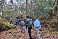 樹海モーニングツアー