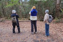 樹海モーニングツアー