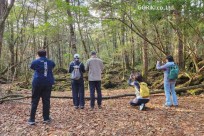 樹海モーニングツアー