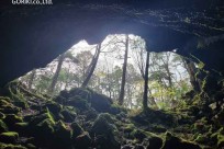 樹海モーニングツアー