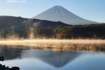 樹海モーニングツアー