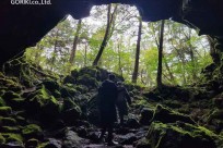 樹海モーニングツアー