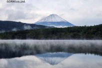 樹海モーニングツアー