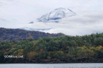 樹海モーニングツアー