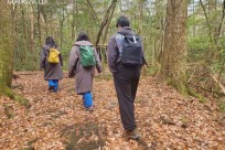 星のや富士様　樹海溶岩ハイキング