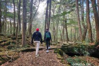 星のや富士様　樹海溶岩ハイキング
