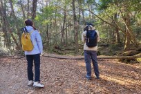 樹海モーニングツアー