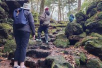 樹海モーニングツアー