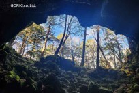 星のや富士様　樹海溶岩ハイキング