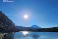 樹海モーニングツアー