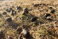 ㈱星野リゾート星のや富士様　スタッフ研修