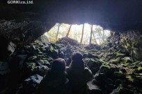 樹海モーニングツアー