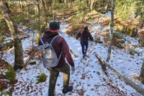 樹海モーニングツアー