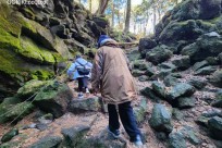 樹海モーニングツアー