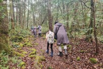 樹海モーニングツアー