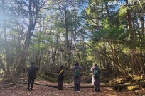 樹海モーニングツアー