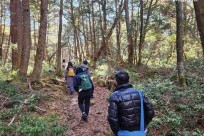 樹海モーニングツアー