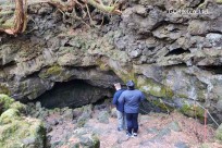 樹海モーニングツアー