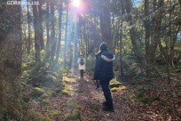 樹海モーニングツアー