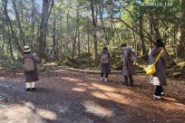 樹海モーニングツアー