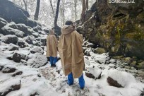 樹海モーニングツアー