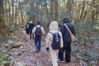 樹海モーニングツアー