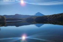 樹海モーニングツアー