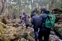 樹海モーニングツアー