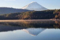 樹海モーニングツアー