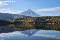 樹海モーニングツアー