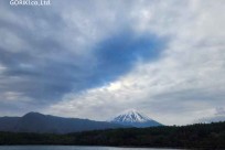 樹海モーニングツアー