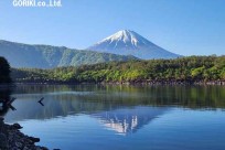 樹海モーニングツアー