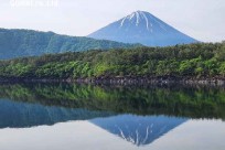 樹海モーニングツアー